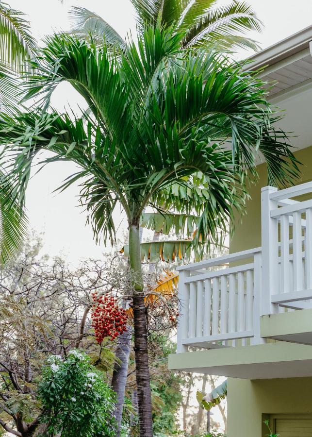 Hotel Le Recif, Ile De La Reunion Saint-Gilles-les Bains Dış mekan fotoğraf